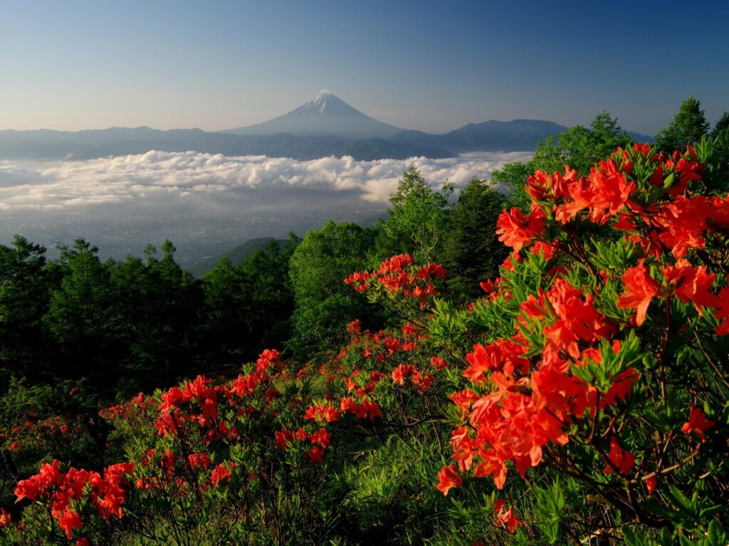 山梨雲海